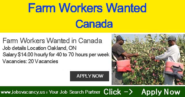 Farm Workers Wanted in Canada