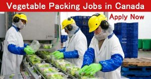 Vegetable Packing Jobs in British Columbia Canada