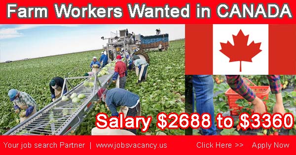 Photo of Farm Workers Wanted at BMW Farms in Canada  | APPLY NOW