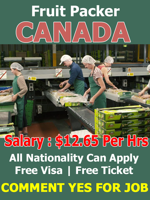 Photo of Fruit Farm Workers Hiring Canada Apply Now