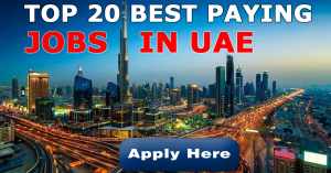 Best Paying Jobs in UAE
