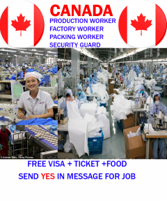 Farm Worker Job in Canada