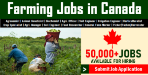 Ontario government jobs agriculture