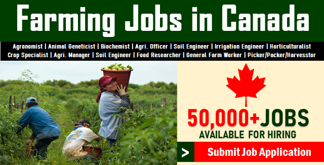 Photo of Farming Jobs in Canada | Urgent 500+