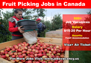Fruit Picking Jobs in Canada